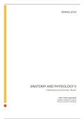document-image