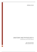 document-image