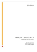 document-image