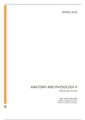 document-image