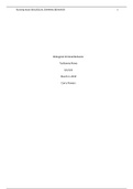 document-image