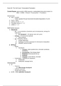 document-image