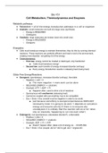 document-image