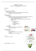 document-image