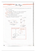 document-image