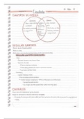 document-image