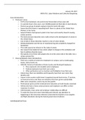 document-image