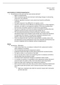 document-image