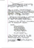 document-image