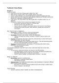 document-image