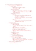 document-image