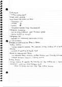 document-image