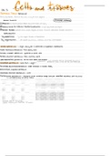 document-image