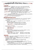 document-image