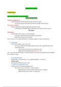 document-image