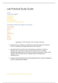 document-image