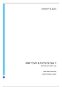 document-image