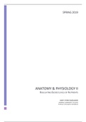 document-image
