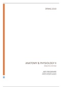 document-image