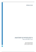 document-image