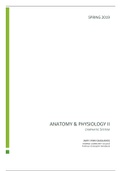 document-image