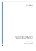 document-image