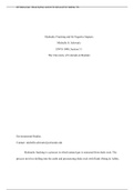 document-image