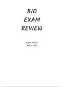 document-image