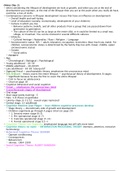 document-image
