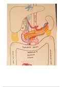 document-image