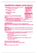 document-image