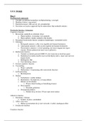 document-image