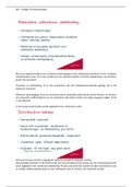 document-image