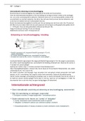 document-image