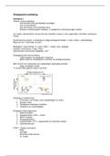 document-image