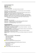 document-image