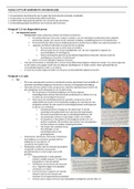 document-image