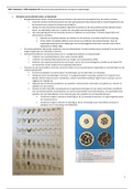 document-image