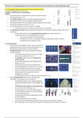 document-image
