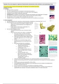 document-image