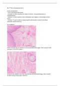 document-image