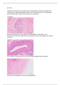 document-image