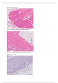 document-image