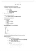 document-image