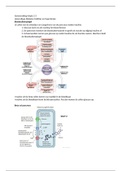 document-image