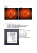 document-image
