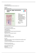 document-image