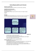 document-image