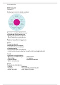 document-image