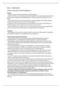document-image